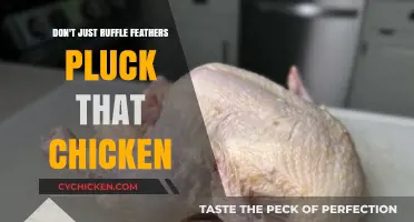 Pluck the Chicken: Bold Moves Beyond Ruffle Feathers