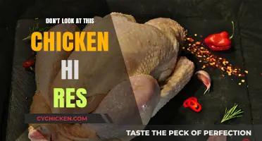 Avoid the High-Res Chicken: Why You Shouldn't Look at This Image