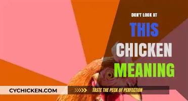 Don't Look at This Chicken Meaning: Decoding the Viral Meme's Hidden Message