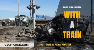Deadly Consequences: Why You Should Never Challenge a Train's Power