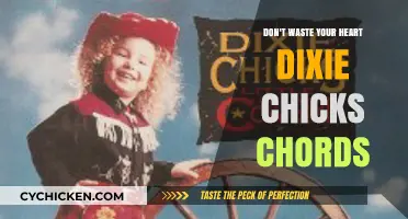 Master 'Don't Waste Your Heart' by Dixie Chicks: Easy Chords Guide