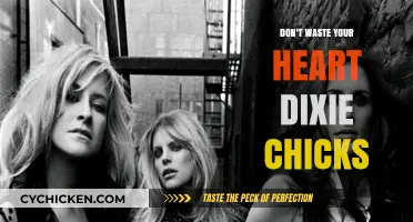 Don't Waste Your Heart: Dixie Chicks' Timeless Wisdom on Love
