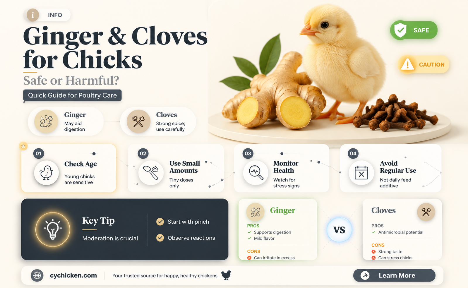 are ginger and cloves ok for chicks