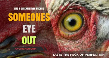 Can a Chicken Peck Out an Eye? Facts and Myths Explored