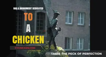 The Clucks Heard Round the World: A Monument to a Chicken