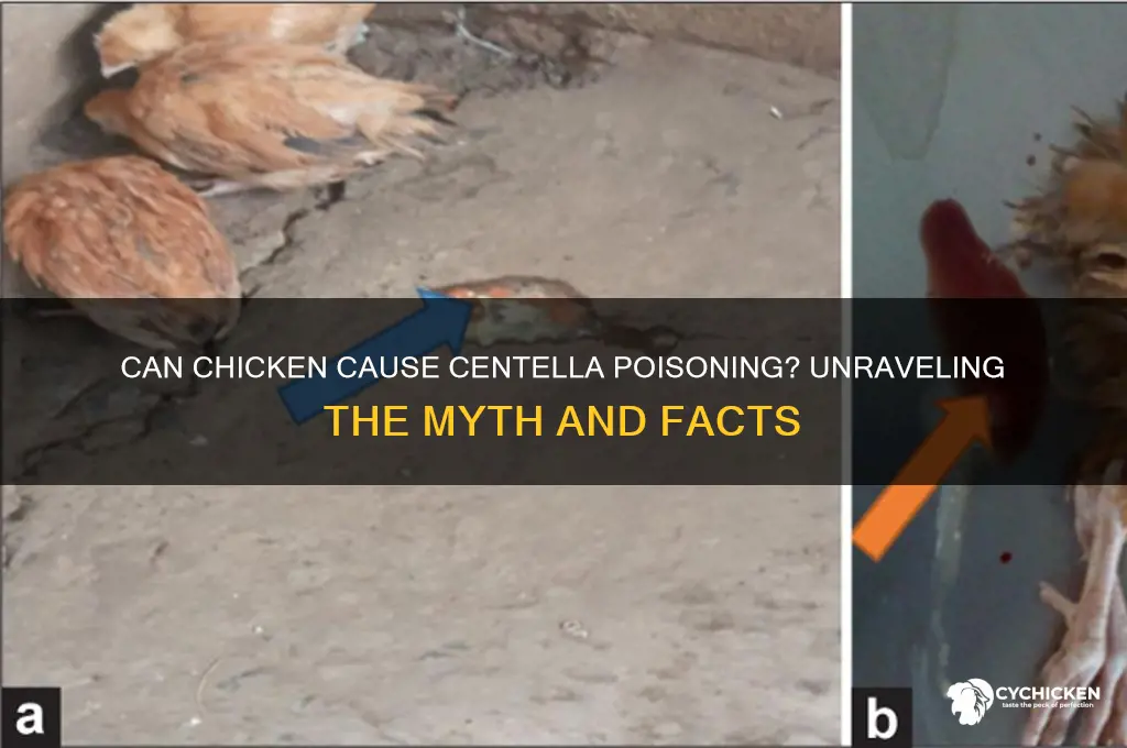 has anyone ever gotten centanella poisin from chicken