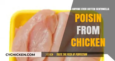 Can You Get Salmonella Poisoning from Chicken? Facts and Prevention Tips