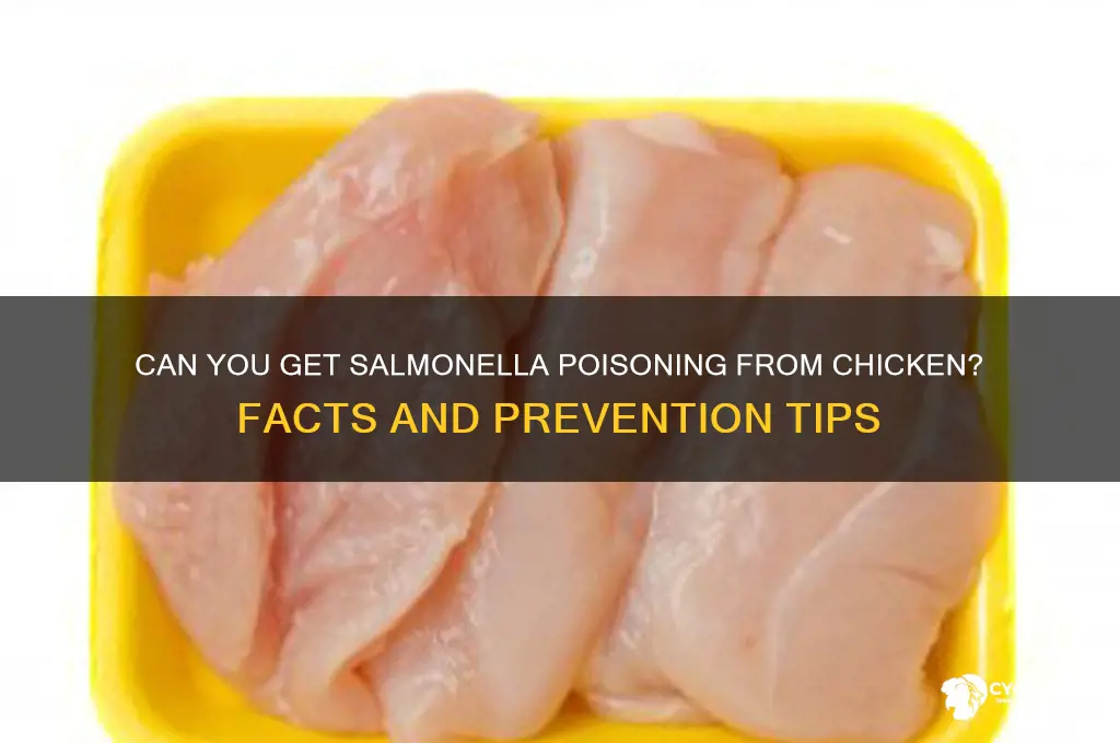 has anyone ever gotten sentrnella poisin from chicken