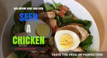 Have You Ever Actually Seen a Chicken? Let’s Discuss!