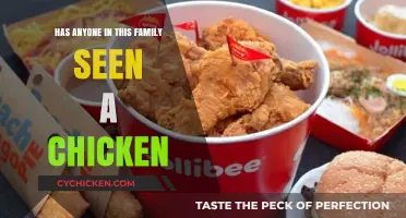 Has Anyone in This Family Seen a Chicken? A Hilarious Search