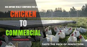 Free-Range vs Commercial Chicken: What's the Real Difference?