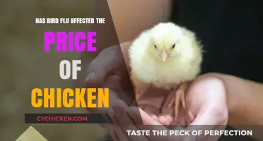 Bird Flu Impact: How Chicken Prices Are Changing in 2023