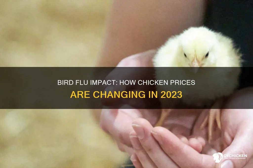 has bird flu affected the price of chicken
