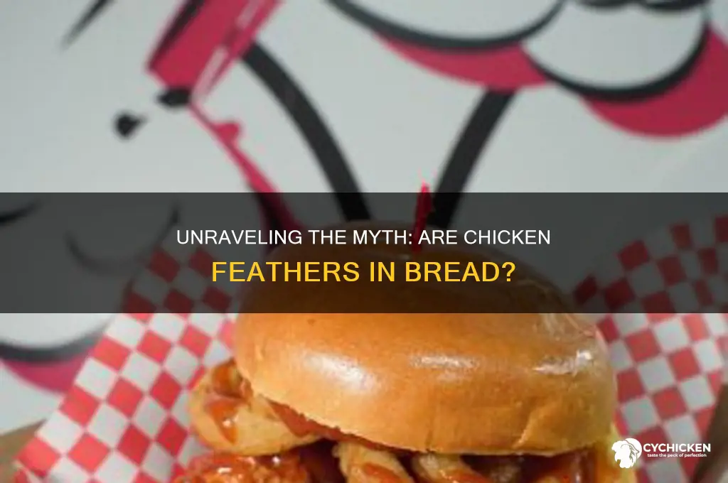 has bread got chicken feathers in it