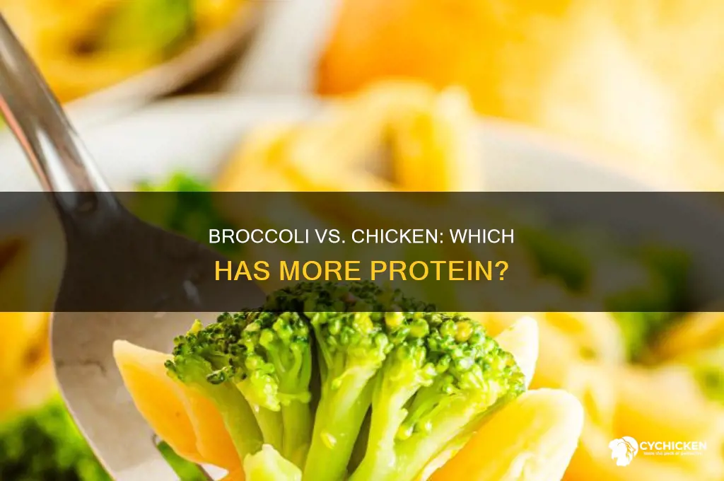 has broccoli got more protein than chicken