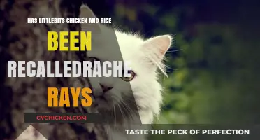 Rachel Ray's Little Bites Chicken & Rice Recall: What You Need to Know