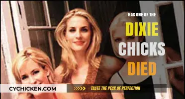 Dixie Chicks Death Rumors: Separating Fact from Fiction
