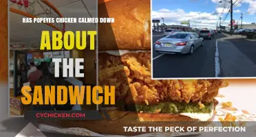 Popeyes Chicken Sandwich Craze: Has the Frenzy Finally Cooled Off?