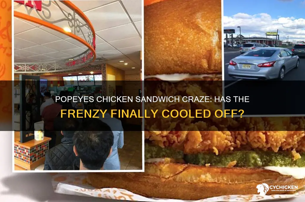has popeyes chicken calmed down about the sandwich