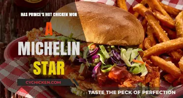 Prince's Hot Chicken: Michelin Star or Not?