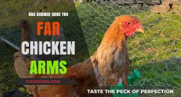 Chicken Arms: Has Science Crossed the Line with Genetic Engineering?