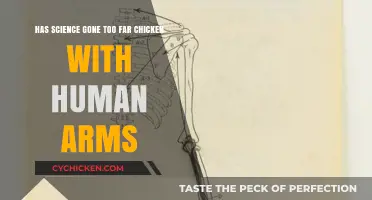 The Strange Science of Chickens: Human Arms Experiment