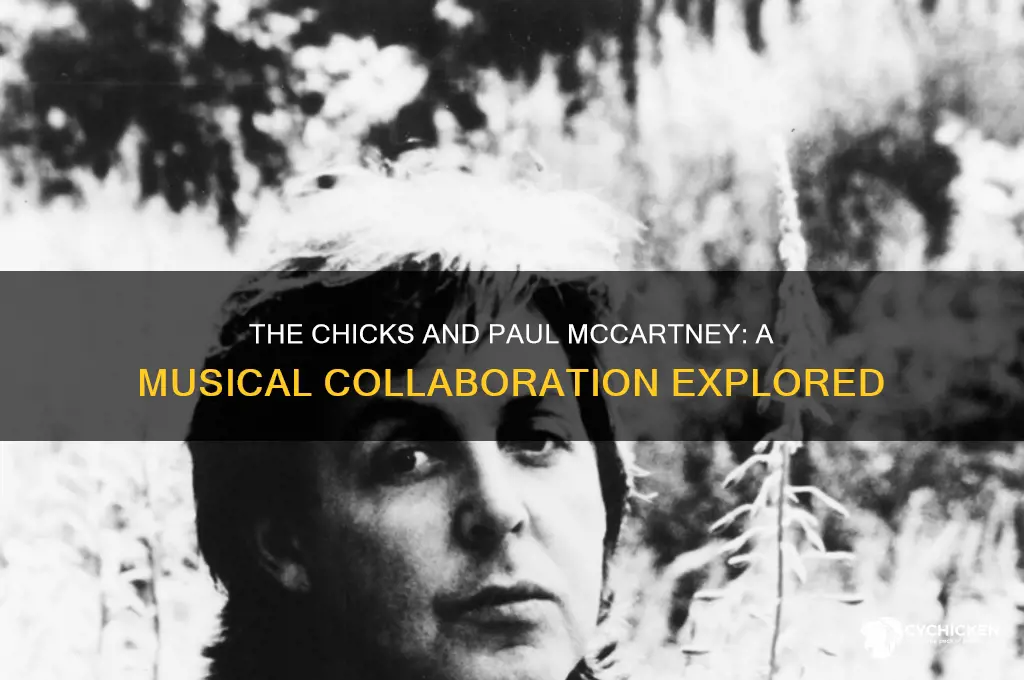 has the chicks worked with paul mccartney