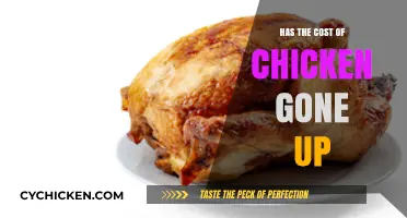 Rising Chicken Prices: What’s Driving the Cost Increase in 2023?