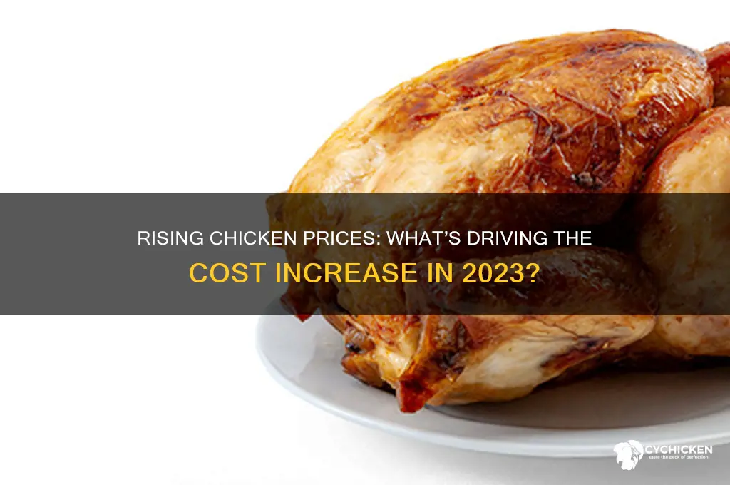has the cost of chicken gone up