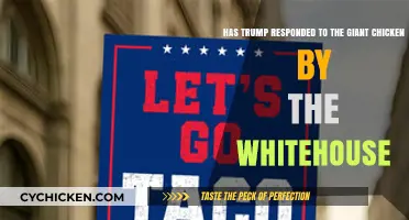 Trump's Response to the Giant Chicken Protest