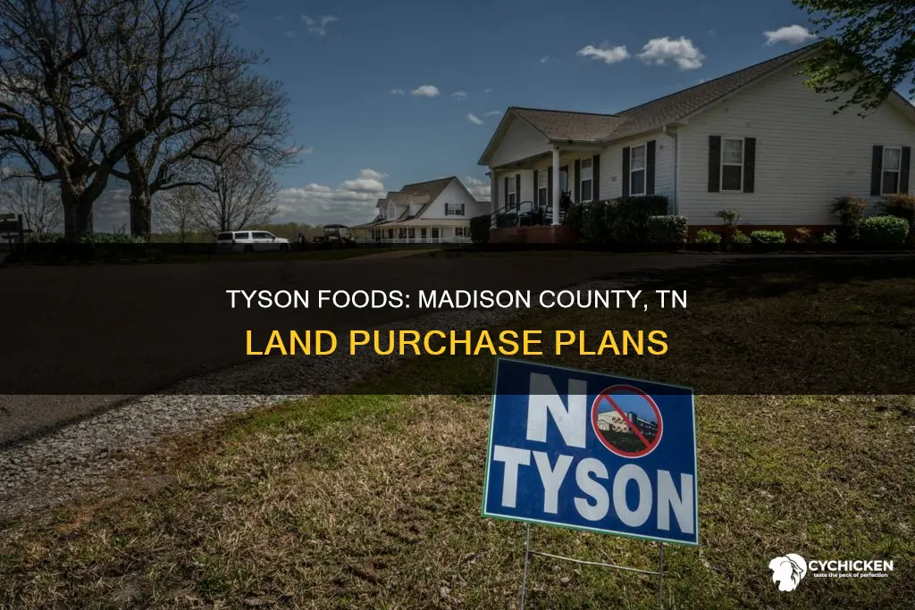 has tyson chicken bought land in madison county tn