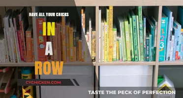 Organize Your Life: Mastering the Art of Having All Chicks in a Row