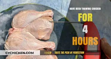 Thawing Chicken Safely: 4-Hour Guide to Perfectly Defrosted Poultry