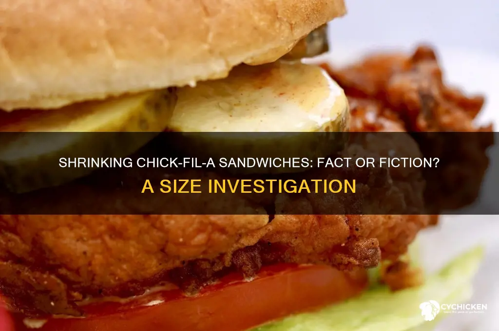 have chick fil a sandwiches gotten smaller