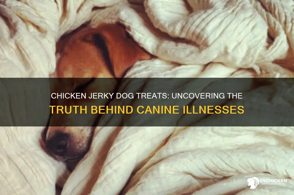 have chicken jerky dog treats made dogs sick