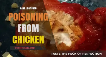 Food Poisoning from Chicken: Symptoms, Causes, and Recovery Tips
