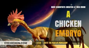 Scientists Hatch T-Rex Chicken Embryo Experiment