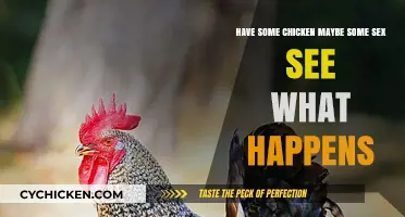 Chicken, Sex, and What Comes Next