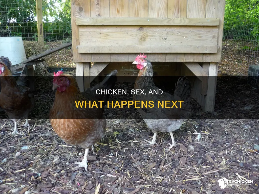 have some chicken maybxe some sex see what happens