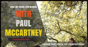 Chicks and Paul McCartney: A Musical Collaboration Explored
