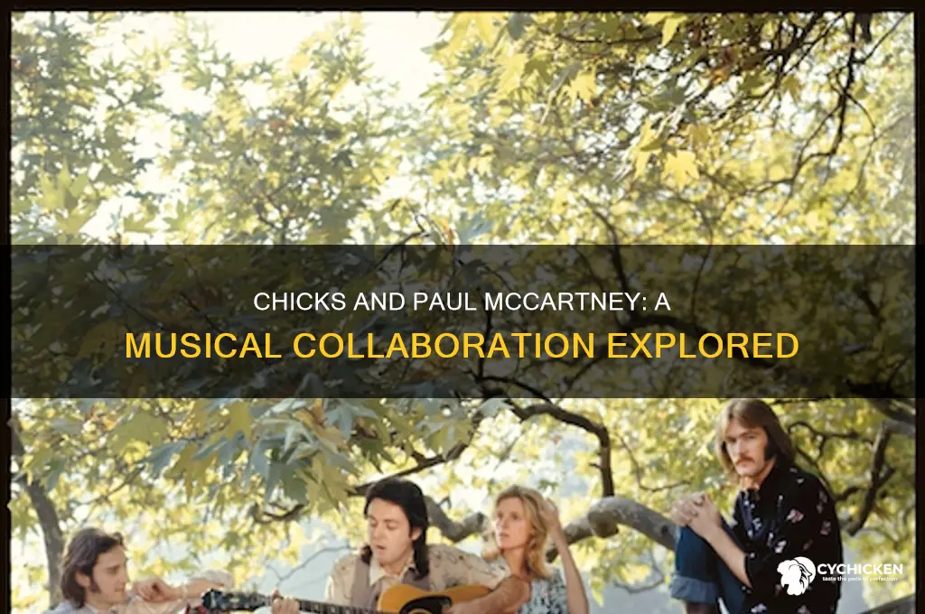 have the chicks ever worked with paul mccartney
