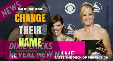 Dixie Chicks' Name Change: A Necessary Step or Cultural Overreaction?