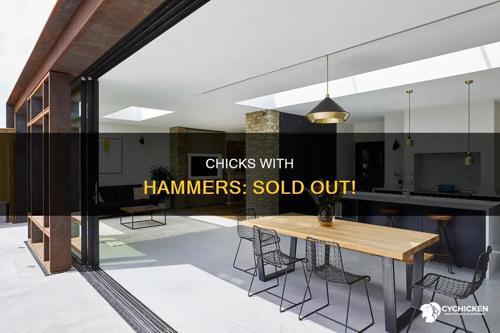 have two chicks and a hammer sold all their homes