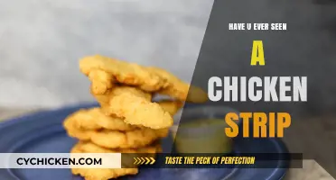 Have You Ever Seen a Chicken Strip? Unveiling the Mystery
