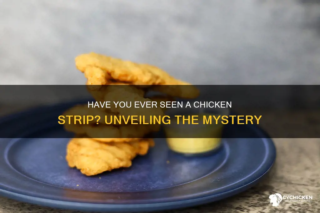 have u ever seen a chicken strip