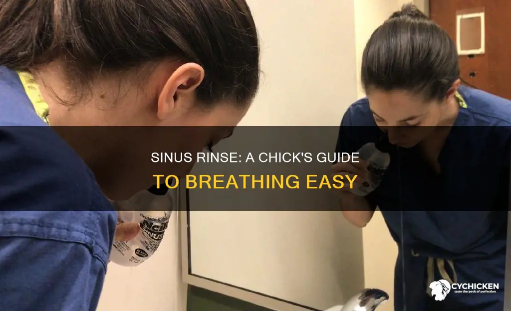 have you ever done a sinus rinse before chick