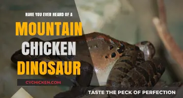 Mountain Chicken Dinosaurs: Ancient Giants or Myth?