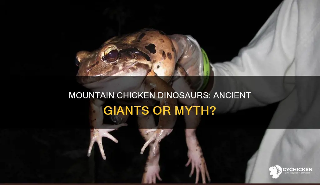 have you ever heard of a mountain chicken dinosaur