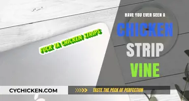 Have You Ever Seen a Chicken Strip Vine? Unveiling the Viral Sensation