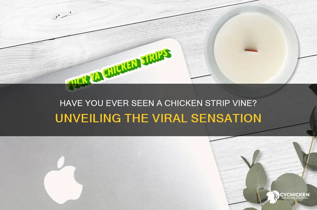 have you ever seen a chicken strip vine